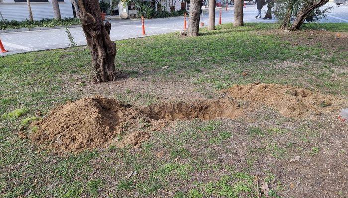 Antalya'da vahşet! Çukur kazılıyor ihbarı, korkunç cinayeti ortaya çıkardı