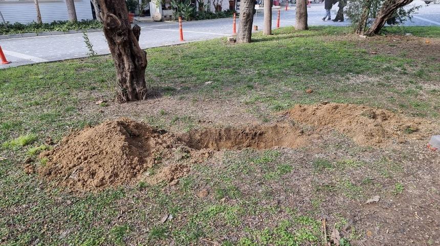 Antalya'da vahşet! Çukur kazılıyor ihbarı, korkunç cinayeti ortaya çıkardı