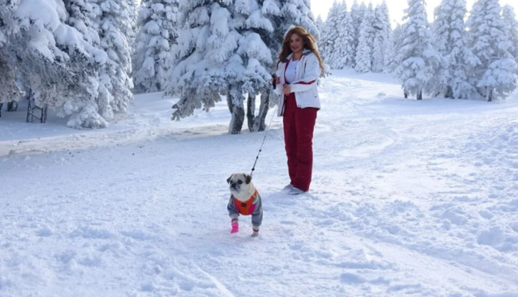 Uludağ’da evcil hayvanlara 5 yıldızlı tatil imkanı! İçinde jakuzisi bile var G4