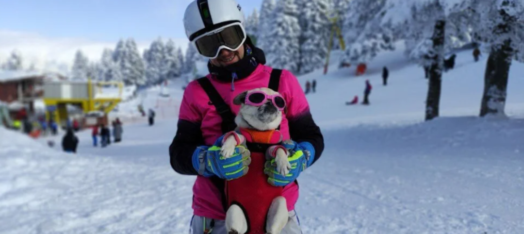 Uludağ&rsquo;da evcil hayvanlara 5 yıldızlı tatil imkanı! İ&ccedil;inde jakuzisi bile var