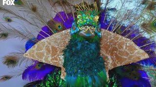 Maske Kimsin Sen Tavus kuşu kimdir? Maske Kimsin Sen Tavus kuşu Emre Altuğ mu?