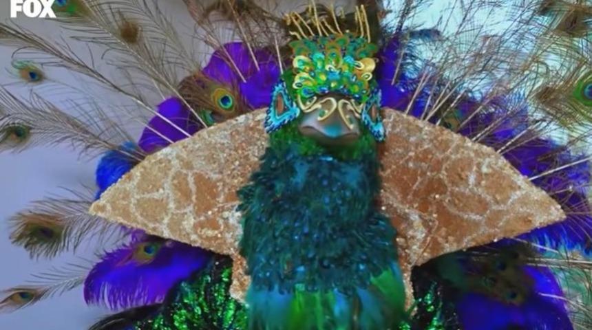 Maske Kimsin Sen Tavus kuşu kimdir? Maske Kimsin Sen Tavus kuşu Emre Altuğ mu?