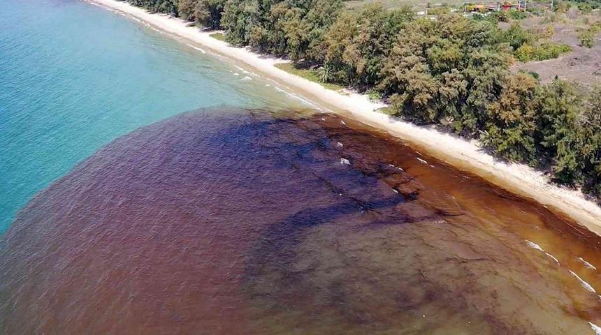 Tayland’da petrol sızıntısı nedeniyle bir plaj afet bölgesi ilan edildi