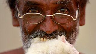 Çiftçiler hükümeti protesto etmek için ağızlarına fare soktu