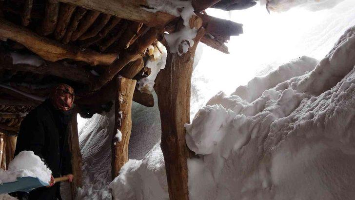 Muş'ta kar nedeniyle bir köy adeta yok oldu! Ev ve ahırlara tünellerle ulaşım sağlanıyor G3