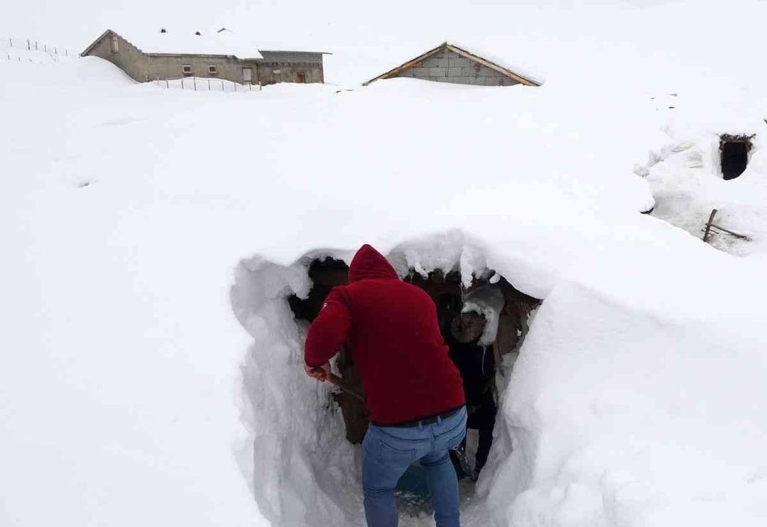 Muş'ta kar nedeniyle bir k&ouml;y adeta yok oldu! Ev ve ahırlara t&uuml;nellerle ulaşım sağlanıyor