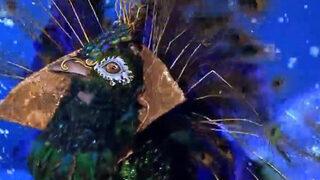 Maske Kimsin Sen Tavus kuşu Emre Altuğ mu? Sosyal medya yıkıldı