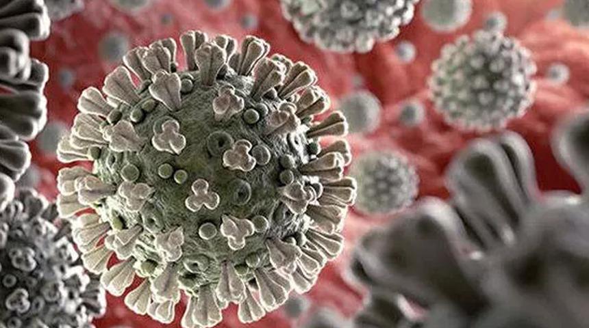Son dakika: NeoCov virüsünde yeni gelişme! Yüksek bulaş ve ölüm riski uyarısı yapılmıştı, DSÖ'den açıklama geldi