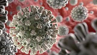 Son dakika: NeoCov virüsünde yeni gelişme! Yüksek bulaş ve ölüm riski uyarısı yapılmıştı, DSÖ'den açıklama geldi