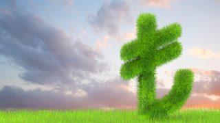 Çevreci ürünler için tarihi adım! Küresel etiket geliyor