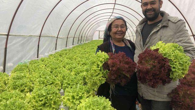 Memurluğu bırakıp memleketine gitti! Her biri 28 bin TL kazandırıyor