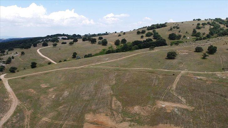 109 ton altın bulunmuştu! 6 milyar dolarlık keşifte yeni gelişme... G1