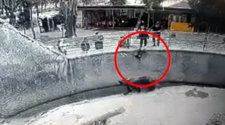 Kan donduran olay! 3 yaşındaki kızını ayının önüne attı, görenler inanamadı