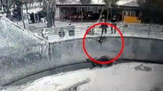 Kan donduran olay! 3 yaşındaki kızını ayının önüne attı, görenler inanamadı