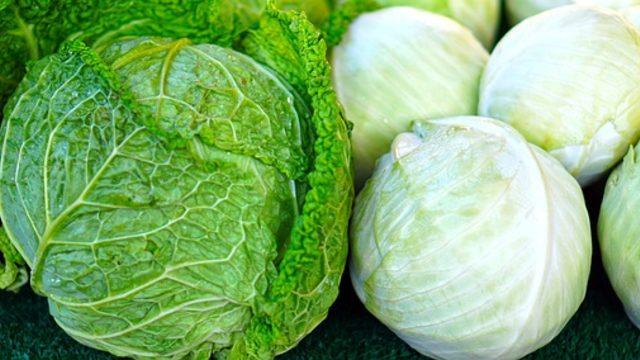 Vitamin ve mineral deposu lahanayı bu tariflerle daha çok seveceksiniz! Beyaz lahana ile yapılabilecek 3 farklı tarif