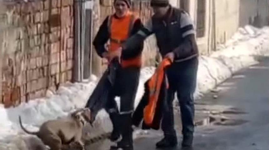 İstanbul'da pitbull dehşeti! Canını kurtarmak için elbiselerini çıkardı