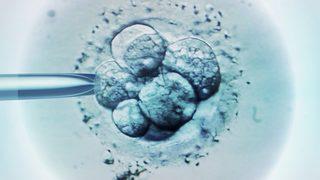 Hollanda'da doğurganlık tedavisinde kendi spermlerini kullanan doktor en az 21 çocuğun babası çıktı