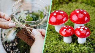 Klasikten vazgeçemeyen, el emeği göz nuru Sevgililer Günü hediyesi arayanlar için: Evde teraryum nasıl yapılır?