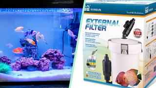 Akvaryumunda temizliğe önem verenler için en iyi akvaryum filtreleri