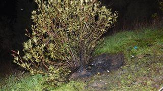 İzmir'de vahşi cinayet! Yanan valizin içinden ceset çıktı