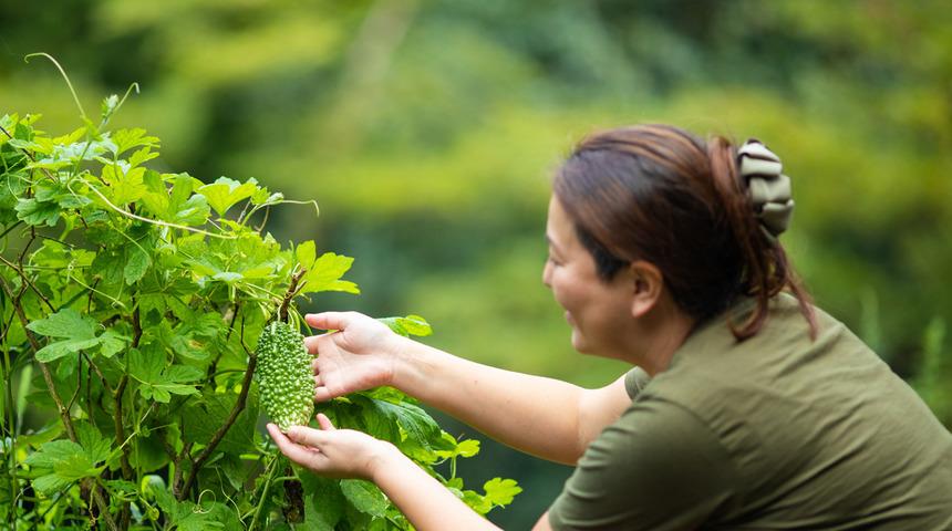 Uzun yaşamın sırrını buldular... 100 yaşına kadar yaşamak istiyorsanız bunları mutlaka yapın