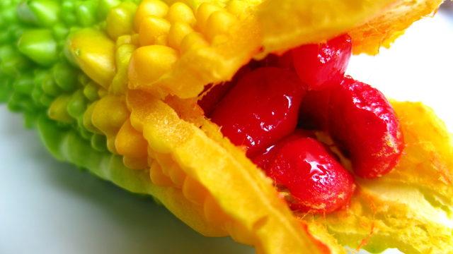 Türkiye Kudret Narı’nda üretim üssü olacak