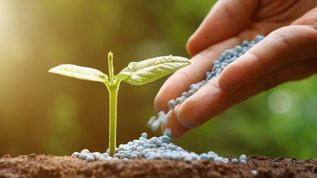 Rusya'dan gübre ihracatına kısıtlama