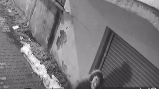 Büyükçekmece'de Dali maskeli hırsızlık! Ev sahibine yakalanınca kaçtılar