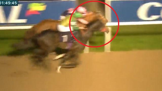 Tarihte bir ilk yaşanmış olabilir! Tüm dünya bu at yarışını konuşuyor! İşte o anlar...