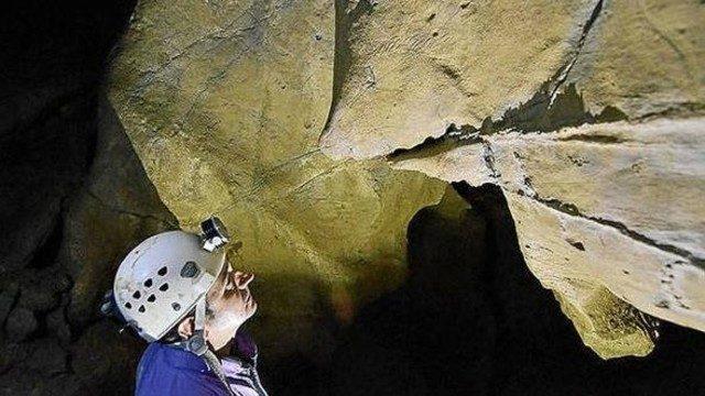 İspanya’da 14 bin yıllık hayvan resimleri bulundu