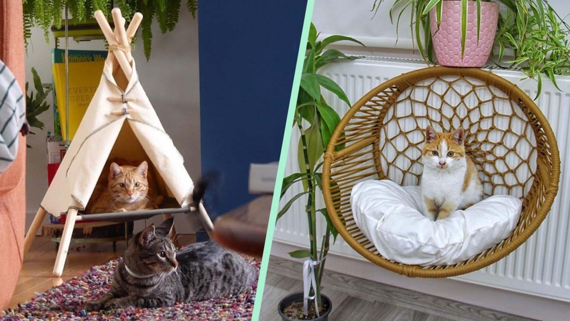 Kış aylarında patili dostlarınızı rahat ettirip sıcacık hissettirecek ürün önerileri