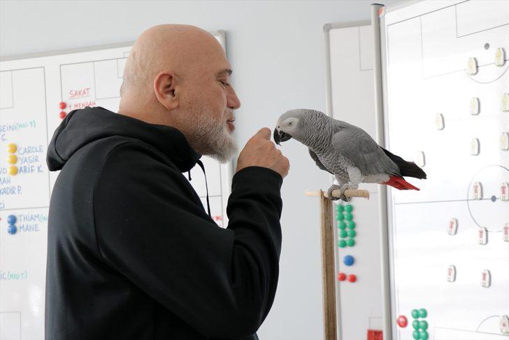 Kayserispor "kısa yoldan" Avrupa kupalarına katılmayı hedefliyor G4