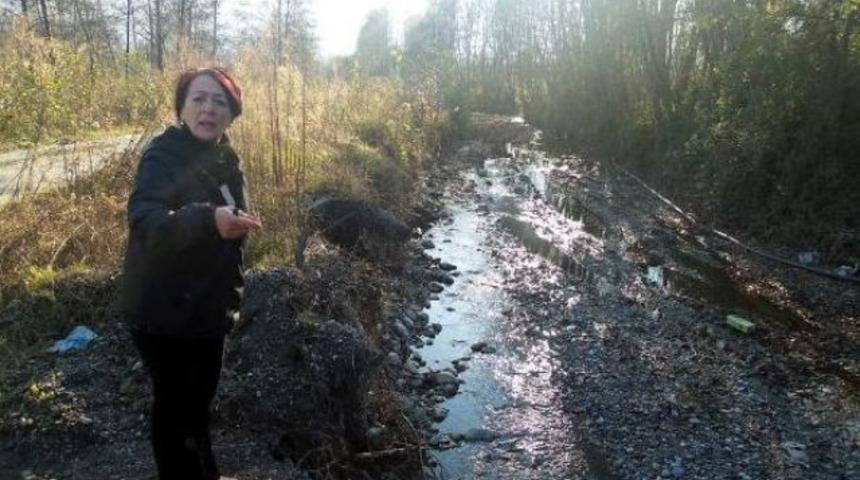 Sapanca Gölü'nde tehlike kapıda