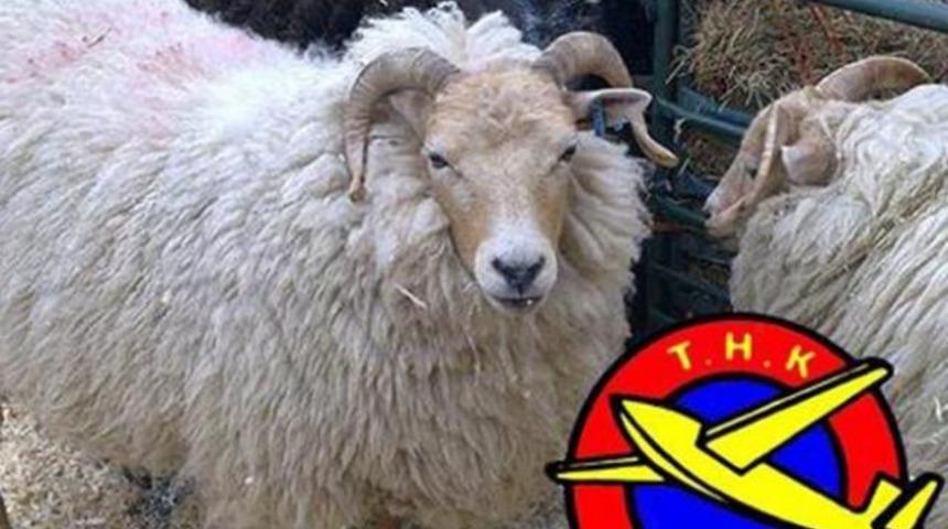 Kurban derileri ile ilgili flaş karar