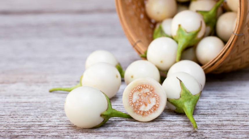 Kanserden diyabete kadar pek çok hastalığa karşı inanılmaz faydaları olan bu bitkiyi tanıyor musunuz?