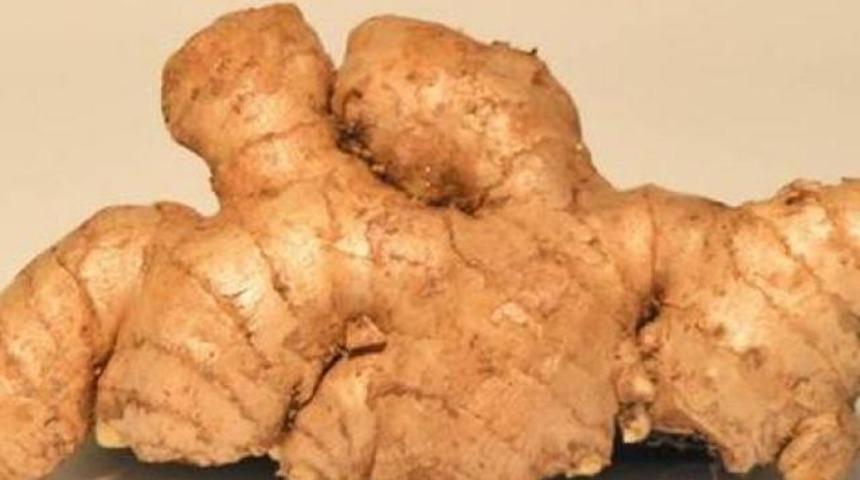 'Zencefil sadece baharat değil'