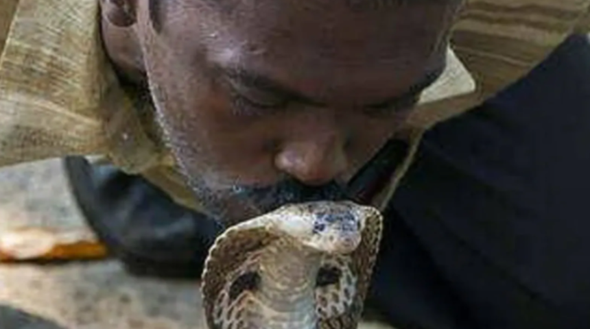 Profesyonel yılan avcısı! Vava Suresh, 251. kez yılan tarafından ısırıldı