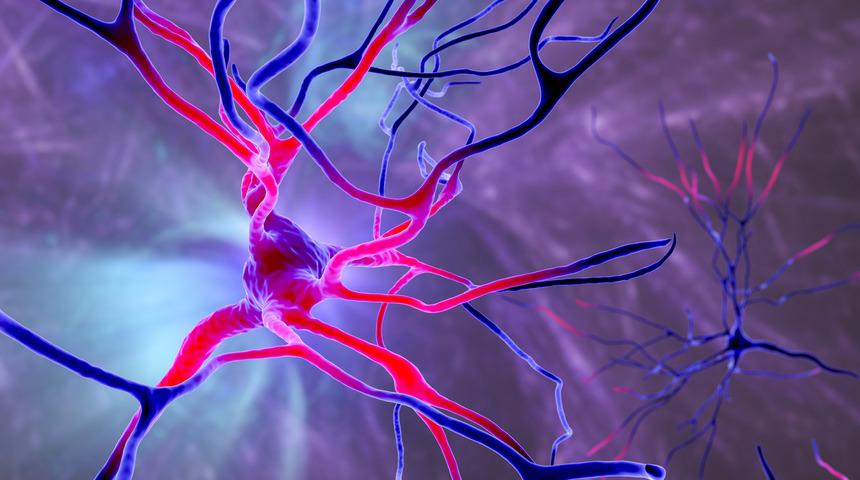 Yüzde 80 başarı sağlandı! Kronik felçliler için ümit olabilir