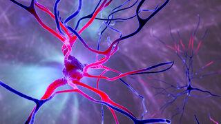 Yüzde 80 başarı sağlandı! Kronik felçliler için ümit olabilir