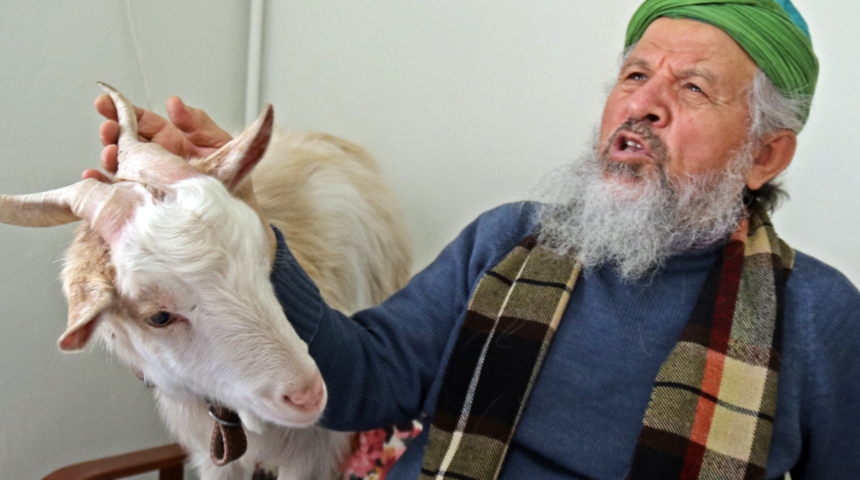 Keçiyle yaşayan yaşlı adamdan ilginç sözler: Onun için kiracımı çıkardım