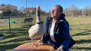 Sevgiyle büyüttüğü kazı Cangoyu yanından ayırmıyor