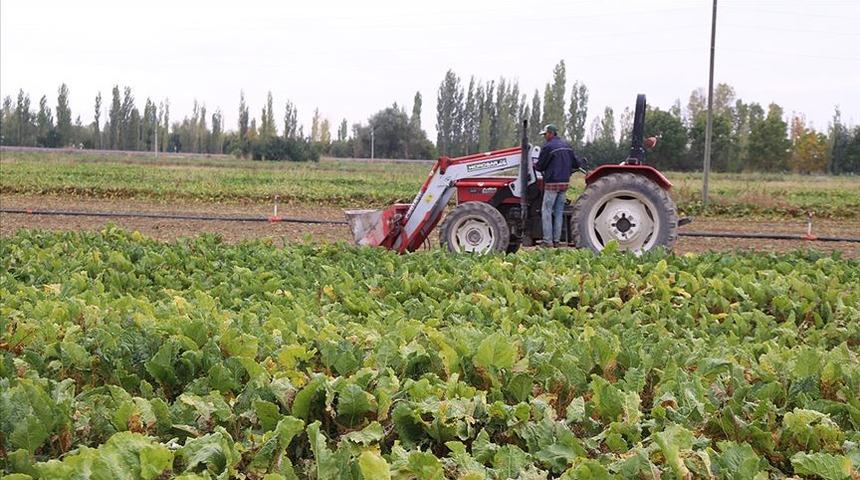 Mazot gübre desteği ne zaman ödenecek? 2022 mazot gübre desteği ne kadar, kaç TL olacak?