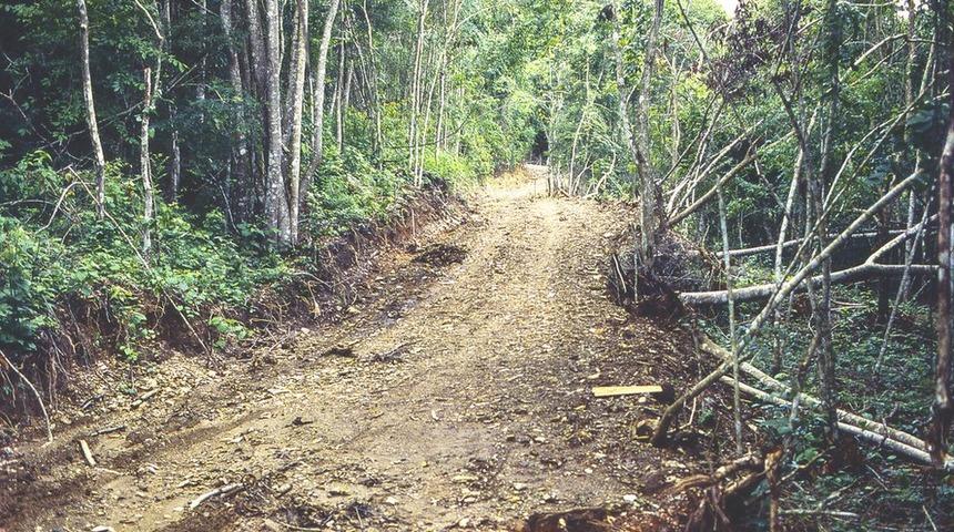 Bilim insanları uyarıyor: Kullanılabilir araziler yok olmak üzere