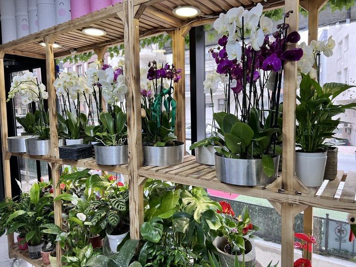 Sevgililer gününü kutlamak bu yıl 3 kat daha pahalı! Gülün tanesi... G1