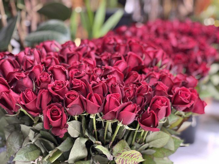 Sevgililer gününü kutlamak bu yıl 3 kat daha pahalı! Gülün tanesi... G2