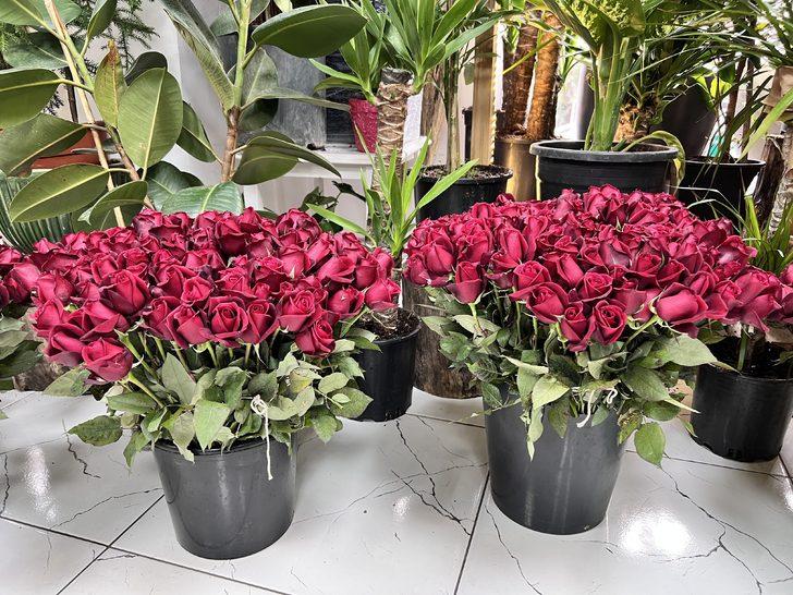 Sevgililer gününü kutlamak bu yıl 3 kat daha pahalı! Gülün tanesi... G3