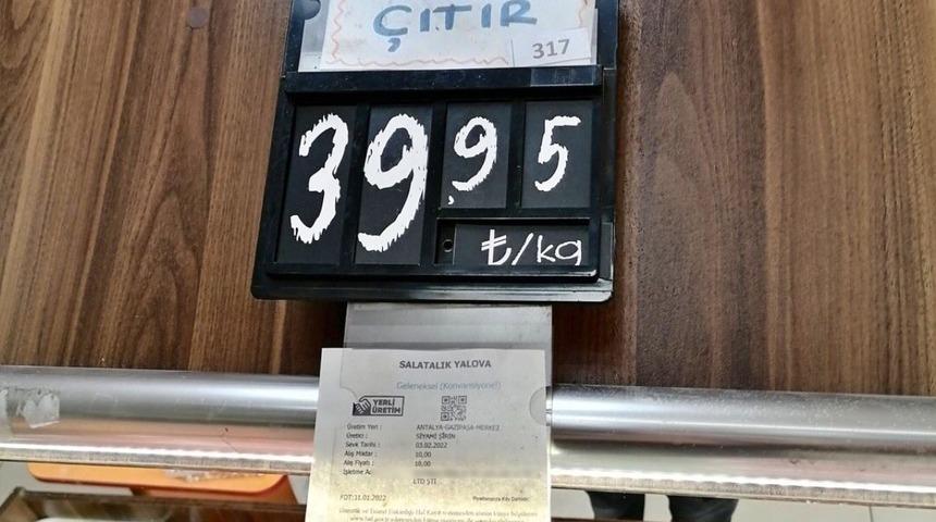İsyan ettiren zam! Salatalık fiyatı sosyal medyada olay oldu...