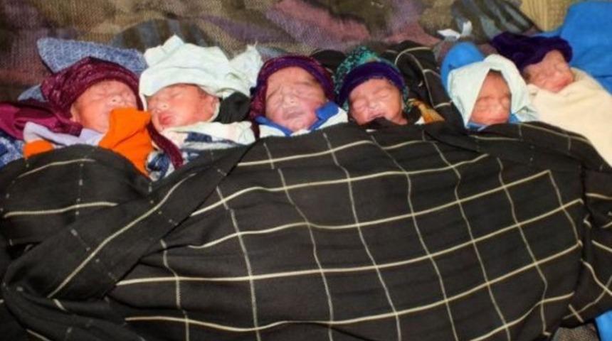 Kontrole gitti altız doğurdu