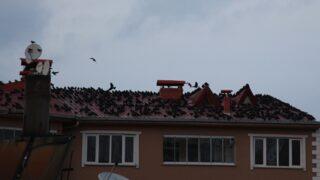 Erzurum'un Oltu ilçesinde vatandaşları uykusuz bırakan olay! Sabah ezanıyla başlıyorlar