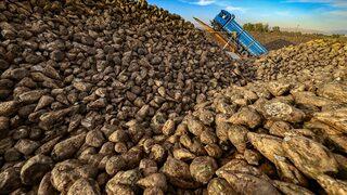 Bakan Pakdemirli duyurdu! Yeni rekorlar bekleniyor